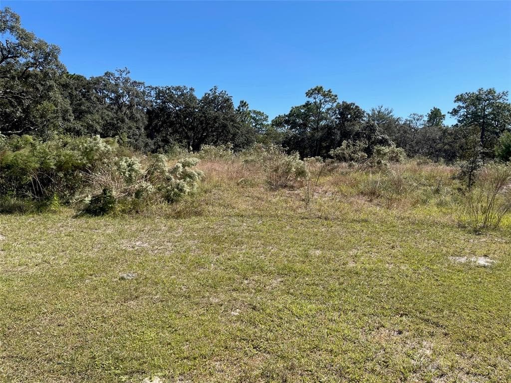 17942 OGGIE LANE HUDSON, FL 34667