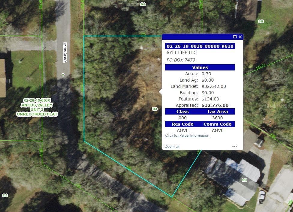 6402 TULIP DRIVE WESLEY CHAPEL, FL 33544
