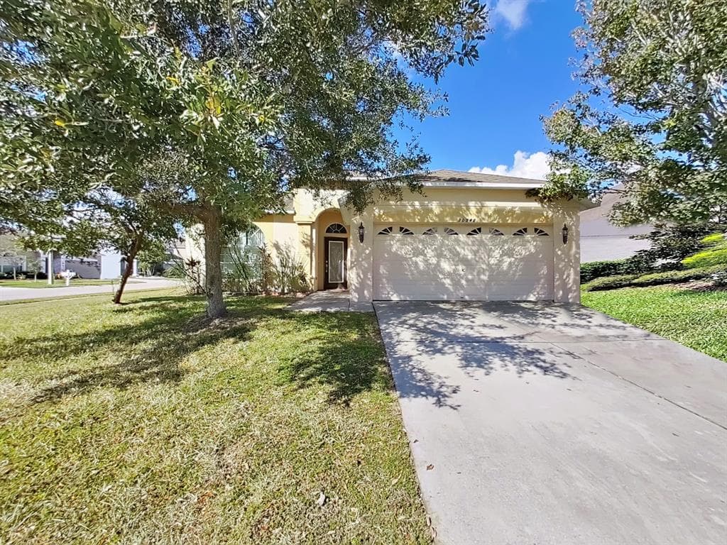 30541 NORSEMAN PLACE WESLEY CHAPEL, FL 33545