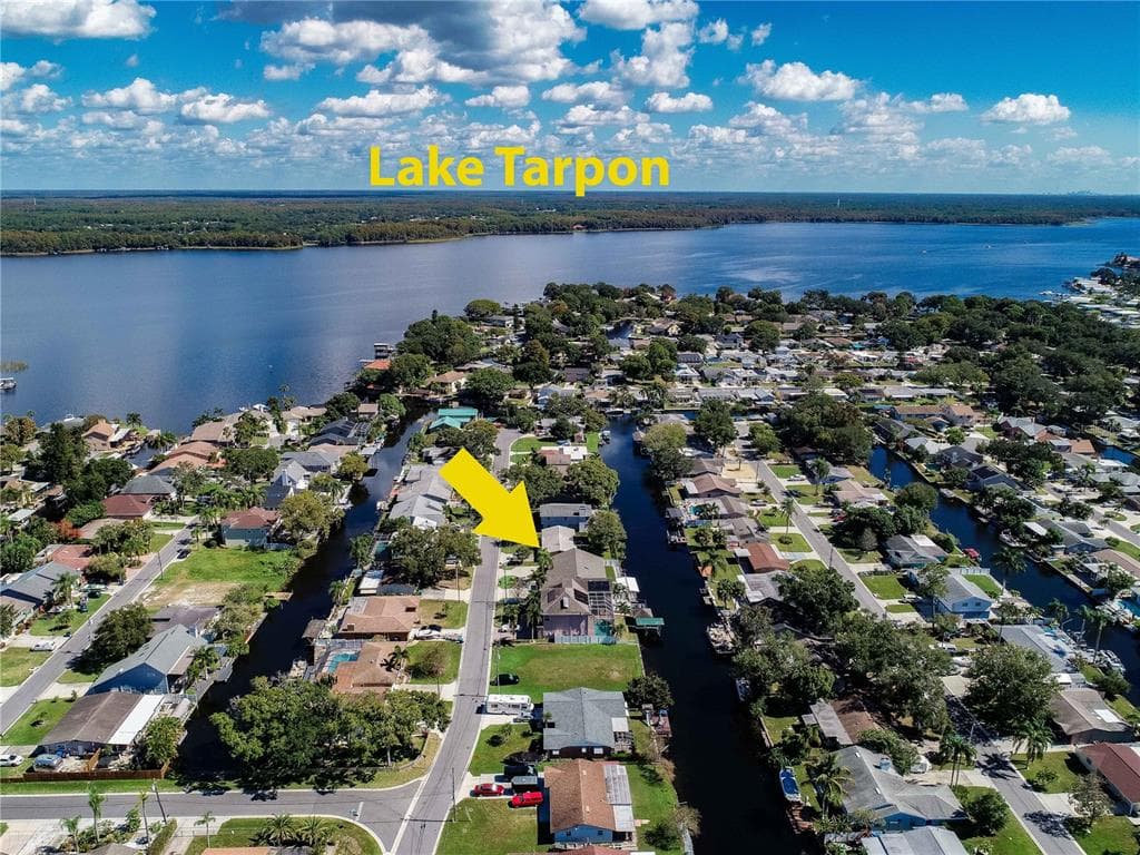 40 CYPRESS DRIVE PALM HARBOR, FL 34684