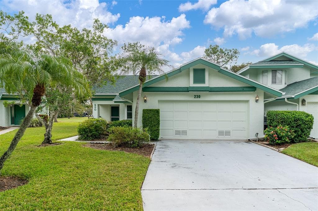 230 WOODRIDGE CIRCLE OLDSMAR, FL 34677