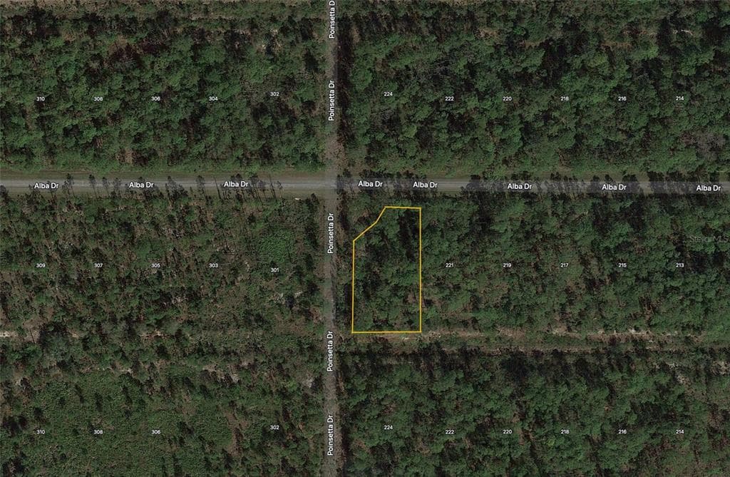 POINSETTA DRIVE INDIAN LAKE ESTATES, FL 33855