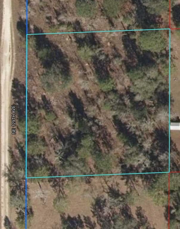 1091 NE 129TH AVENUE WILLISTON, FL 32696