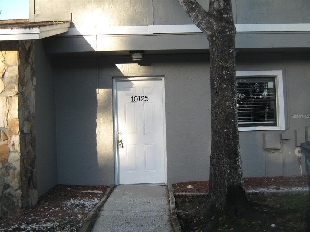 10125 LAKE OAK CIRCLE TAMPA, FL 33624