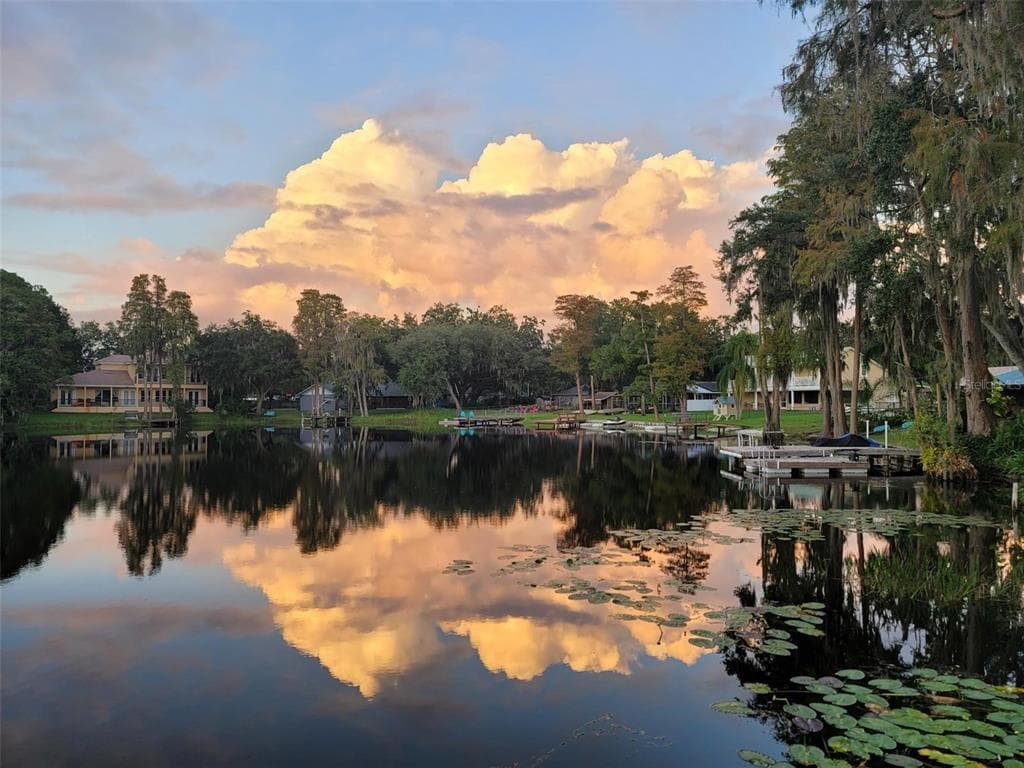 19108 FORREST DRIVE ODESSA, FL 33556