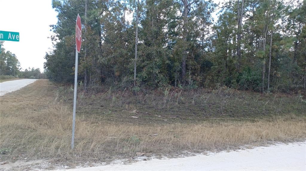 13398 SOOTY TERN AVENUE WEEKI WACHEE, FL 34614