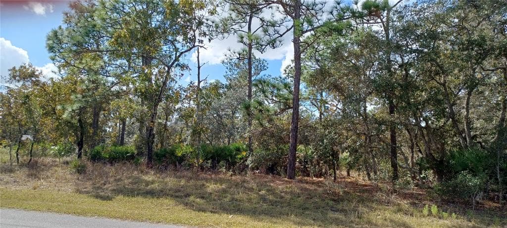11219 LIBERTO ROAD WEEKI WACHEE, FL 34614