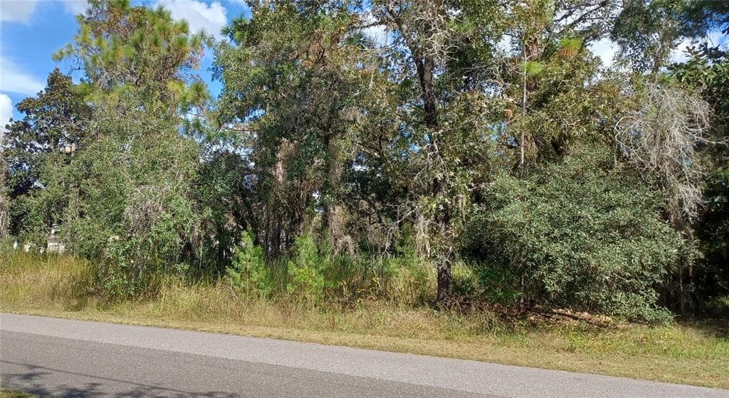11212 LOMITA WREN ROAD WEEKI WACHEE, FL 34614