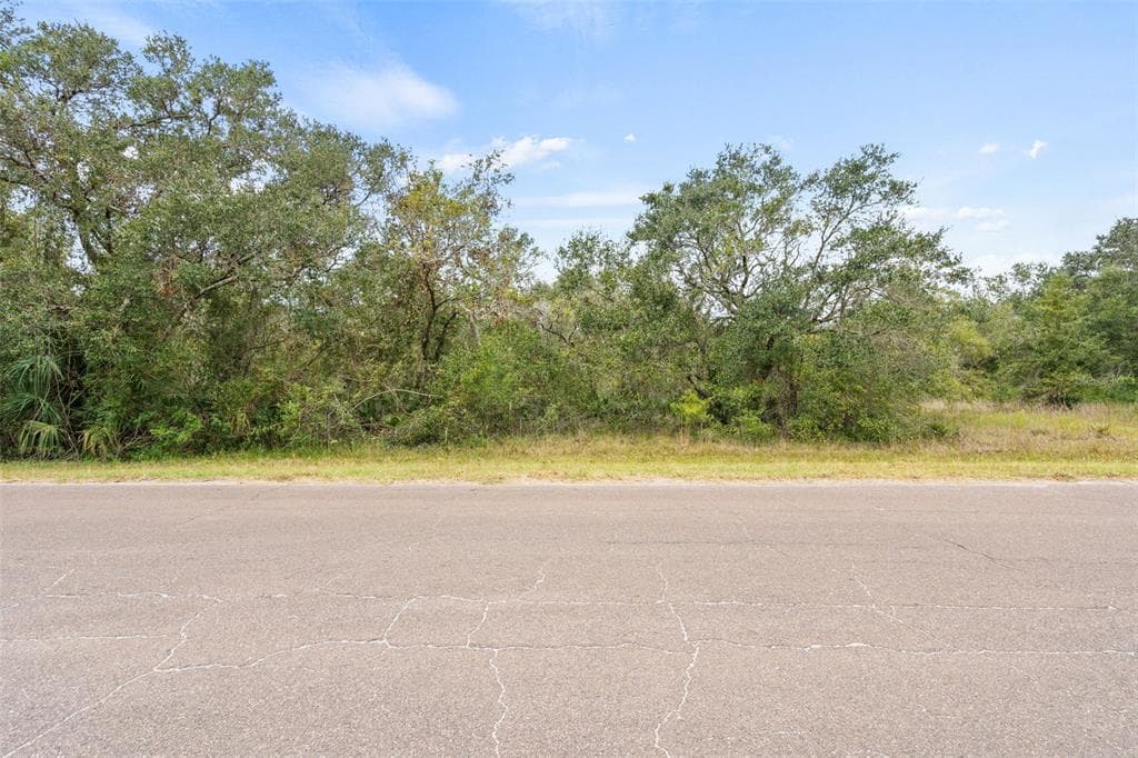 3005 PONDEROSA TRAIL WIMAUMA, FL 33598