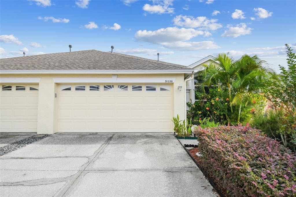 31036 PROUT COURT WESLEY CHAPEL, FL 33543