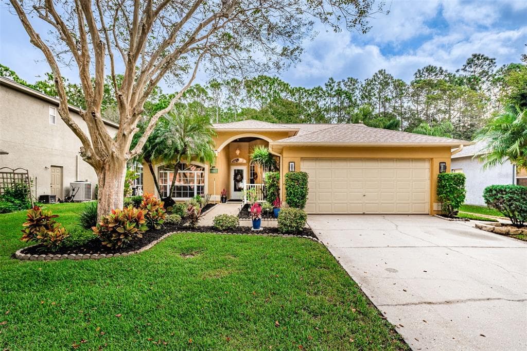 1663 BAYHILL DRIVE OLDSMAR, FL 34677