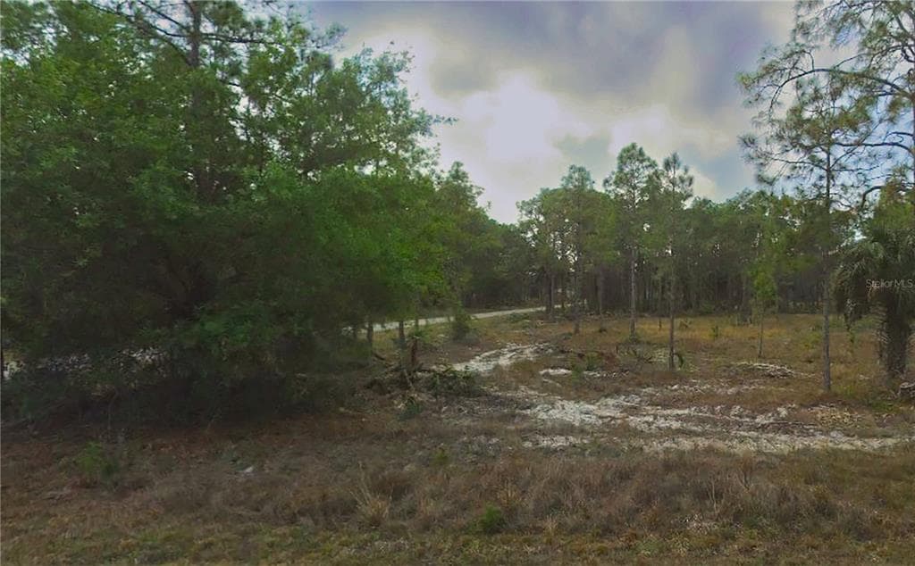 901 W 11TH STREET LEHIGH ACRES, FL 33972