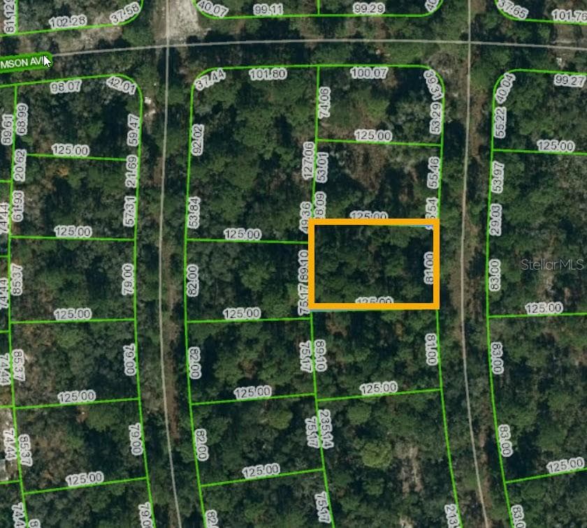 232 RAINBOW DRIVE LAKE PLACID, FL 33852