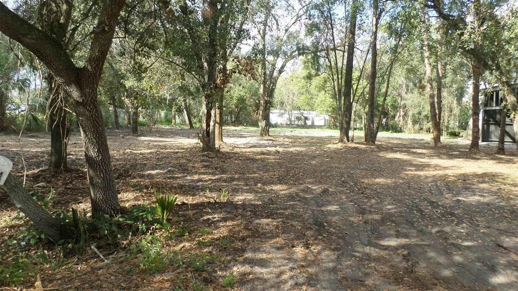 LOU ANN AVENUE RIVERVIEW, FL 33578
