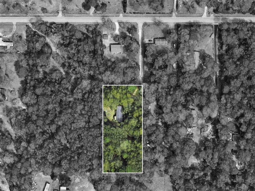 17033 NANDY LANE SPRING HILL, FL 34610