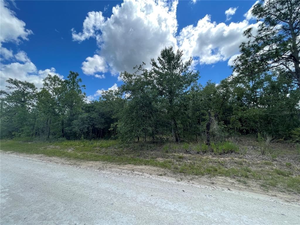 Lot 29 EASTERN PHOEBE ROAD WEEKI WACHEE, FL 34614