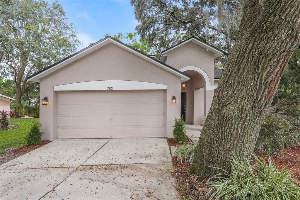 703 ROCKY MOUNTAIN COURT VALRICO, FL 33594