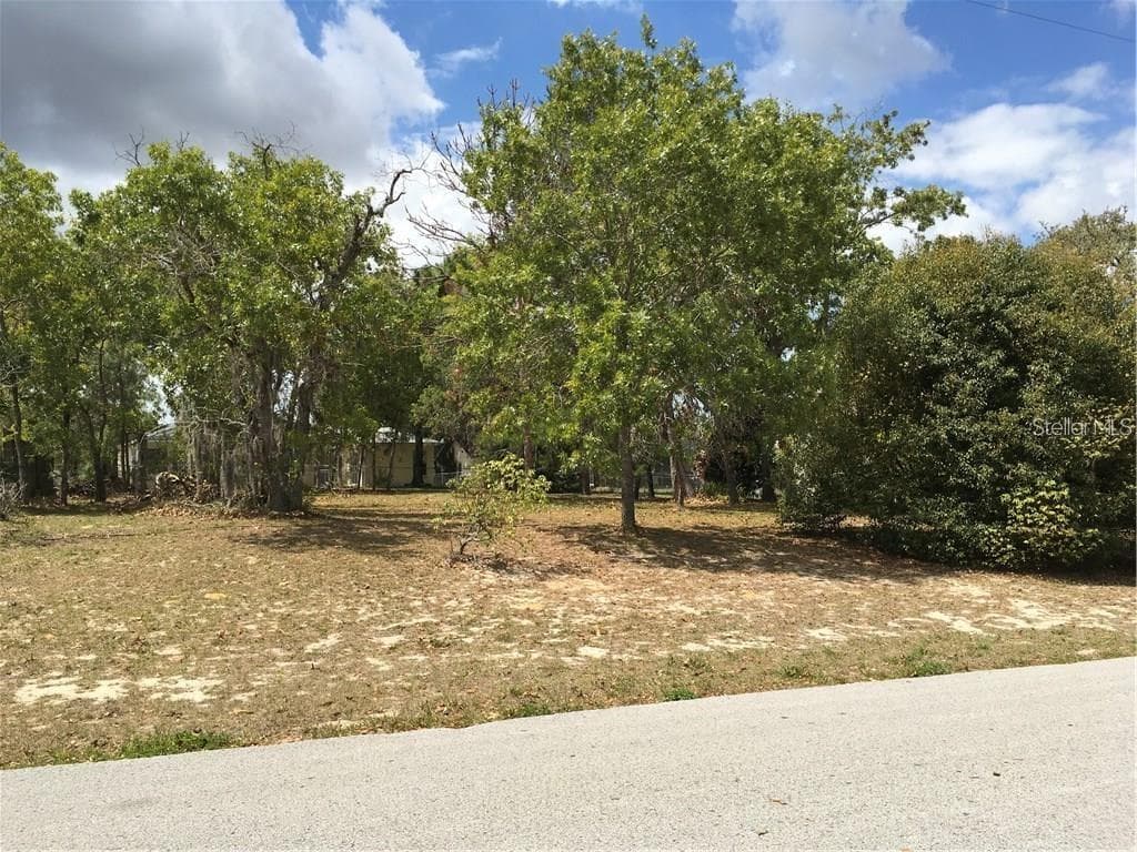 4459 DETROIT STREET SPRING HILL, FL 34608