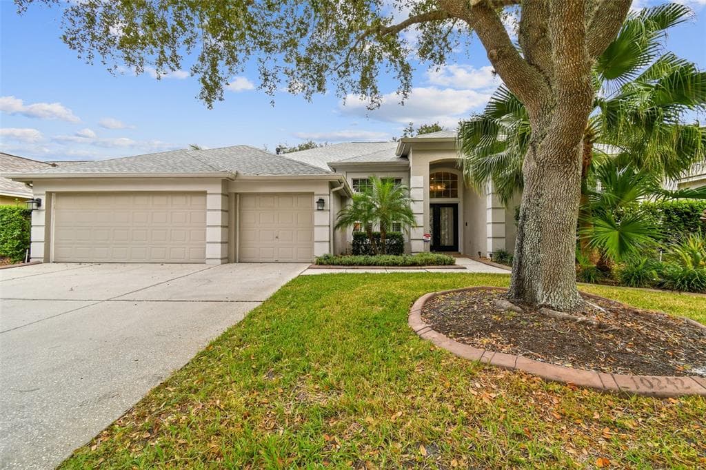 10242 SHADOW BRANCH DRIVE TAMPA, FL 33647