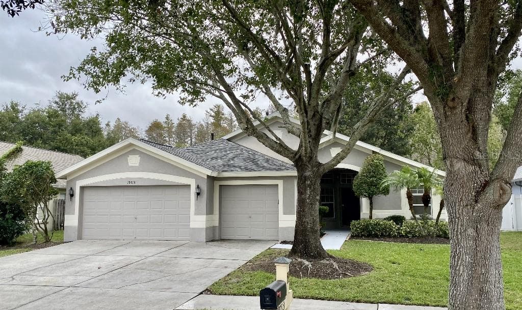 19713 ELLENDALE DRIVE LAND O LAKES, FL 34638