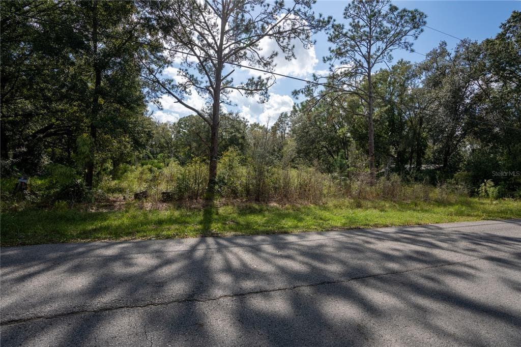 26236 FOAMFLOWER BOULEVARD WESLEY CHAPEL, FL 33544