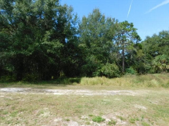 0 CEDARFIELD DRIVE DADE CITY, FL 33523