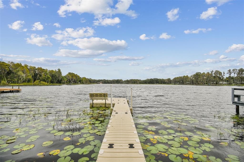 16925 CRAWLEY ROAD ODESSA, FL 33556