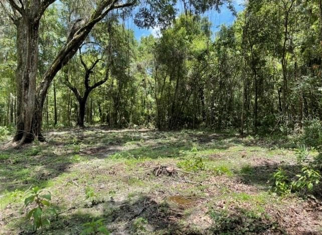 25300 OLYMPIA ROAD BROOKSVILLE, FL 34601