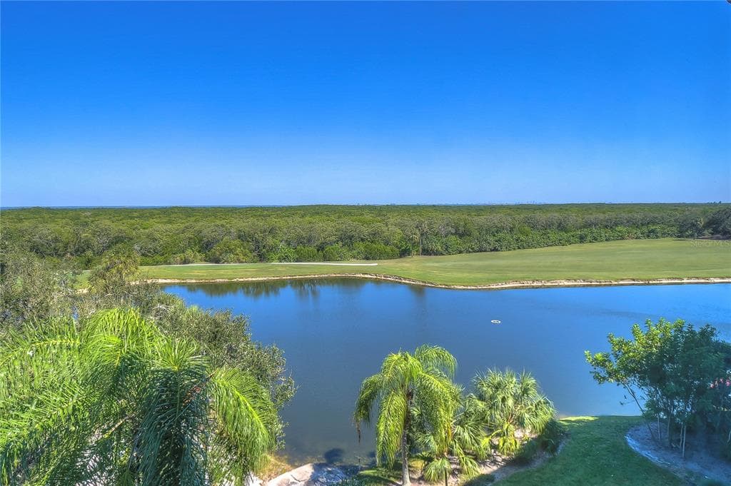 2333 FEATHER SOUND DRIVE UNIT B501 CLEARWATER, FL 33762