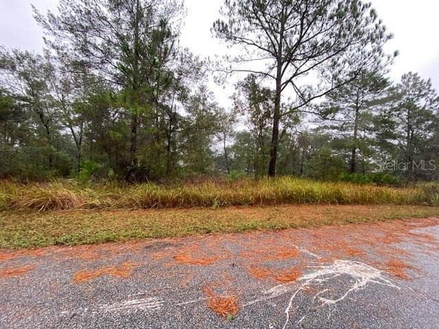 3097 W KIRKWOOD PLACE CITRUS SPRINGS, FL 34433