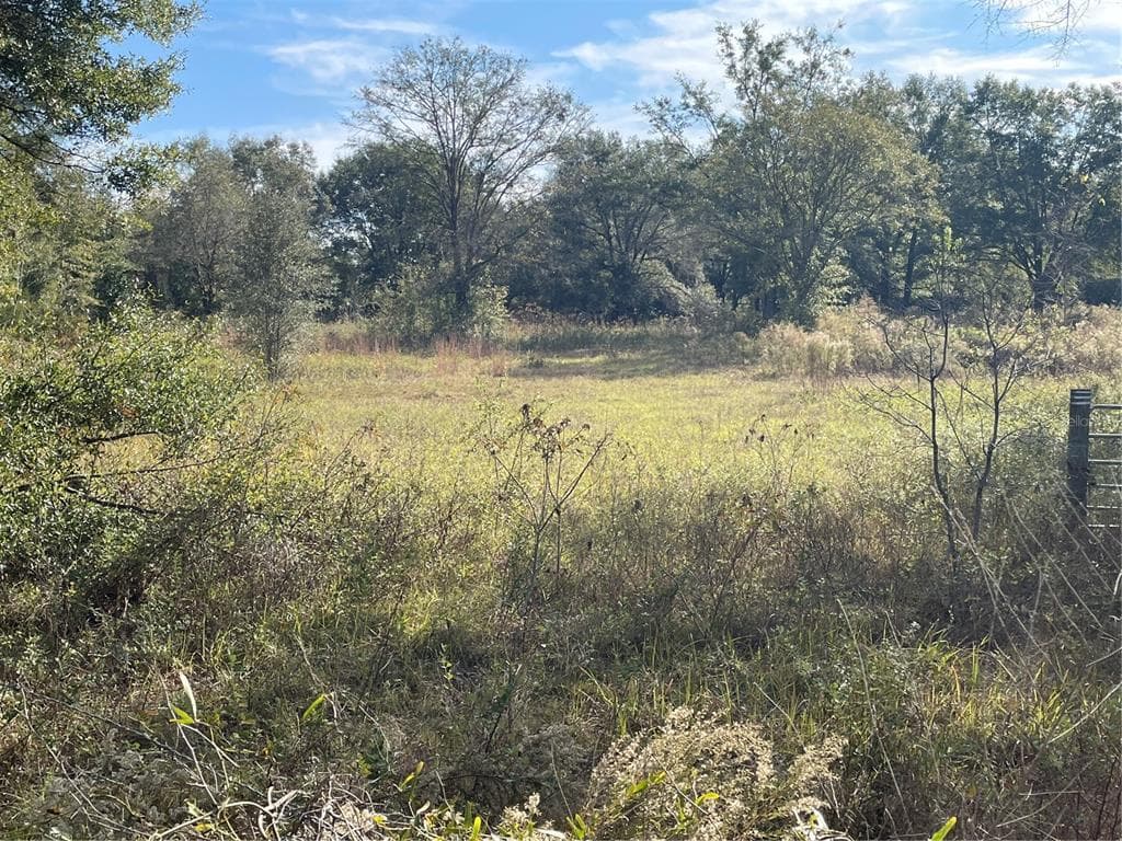 SW SHEPPARD WAY LAKE CITY, FL 32024