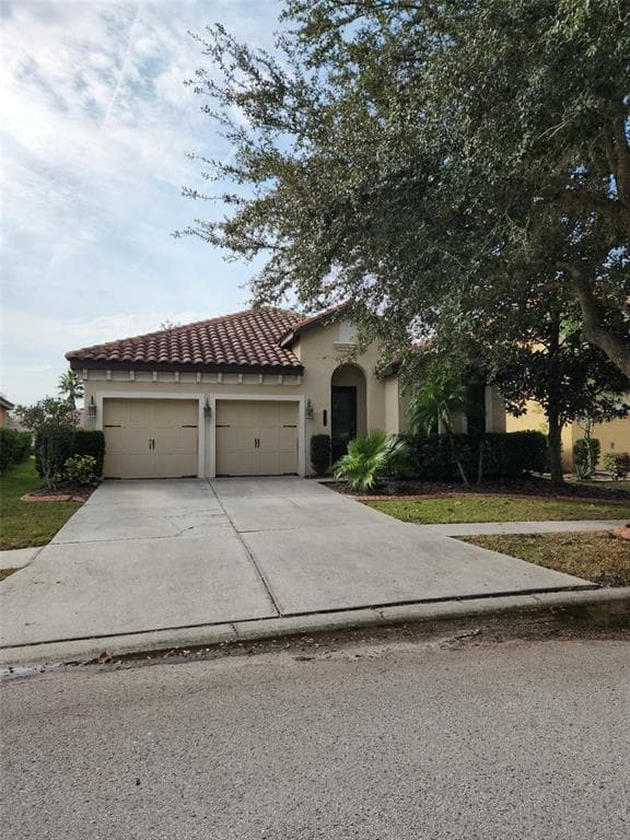 20311 CHESTNUT GROVE DRIVE TAMPA, FL 33647