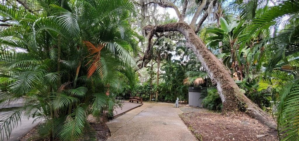 307 BEAR TRAIL LAKE WALES, FL 33898