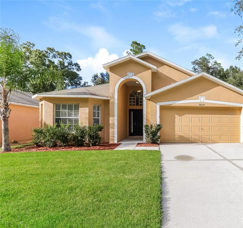30719 MIDTOWN CT WESLEY CHAPEL, FL 33545