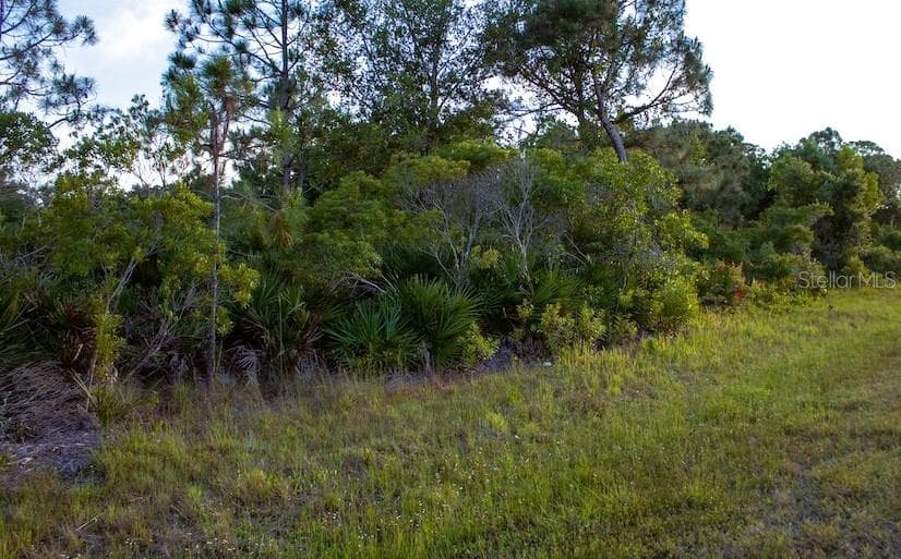 26200 ANGELICA ROAD PUNTA GORDA, FL 33955