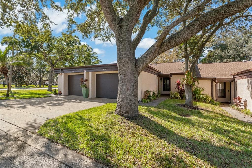 3202 GREEN DOLPHIN STREET TARPON SPRINGS, FL 34689