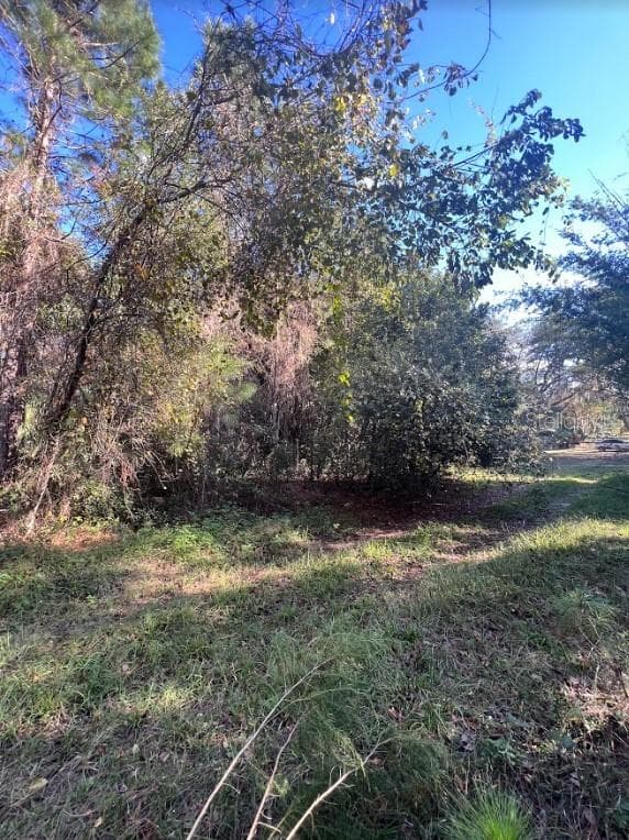 TBD JESSIE AVENUE DELAND, FL 32720