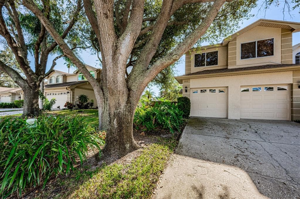 2515 W BROOK LANE CLEARWATER, FL 33761