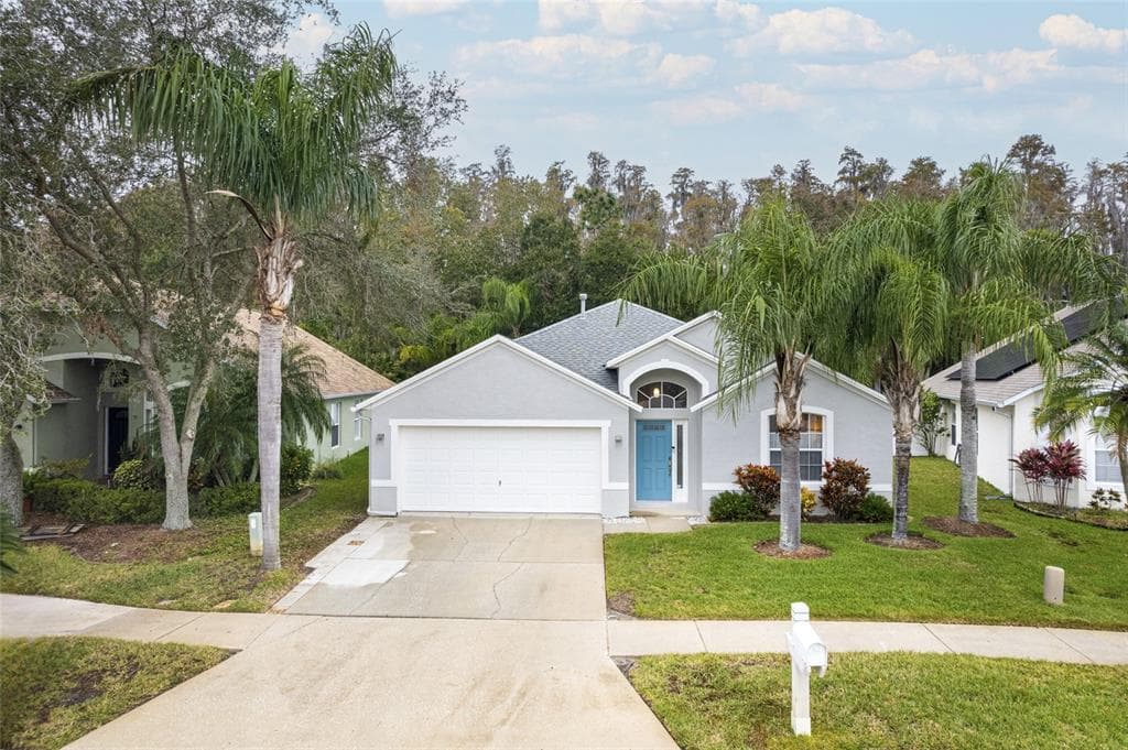1251 HORSEMINT LANE WESLEY CHAPEL, FL 33543