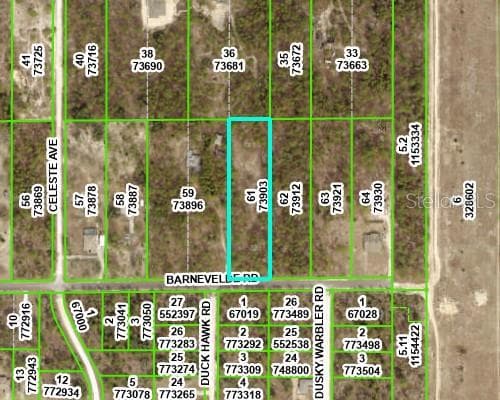 BARNEVELDE ROAD WEEKI WACHEE, FL 34614