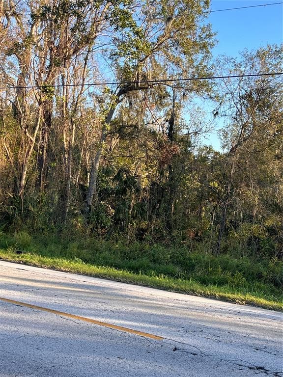 18113 672 HIGHWAY LITHIA, FL 33547