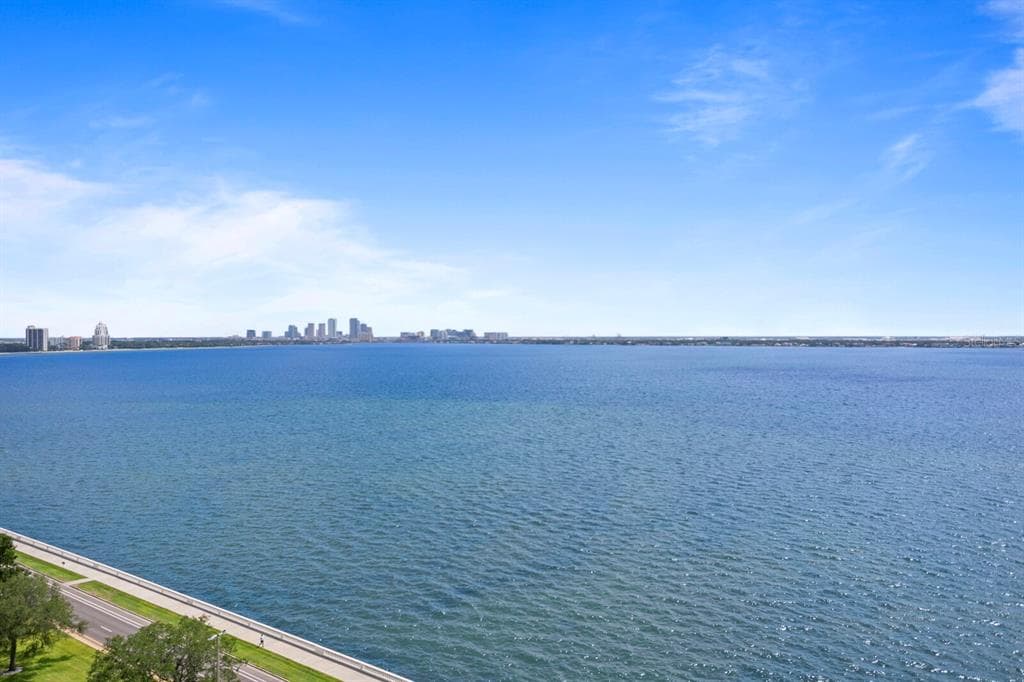 4201 BAYSHORE BOULEVARD UNIT 1402 TAMPA, FL 33611