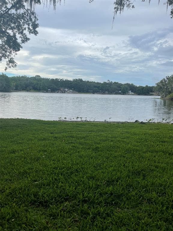 4935 PURITAN UNIT 4935 TAMPA, FL 33617