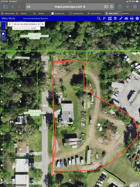 8202 CORMEL STREET PORT RICHEY, FL 34668