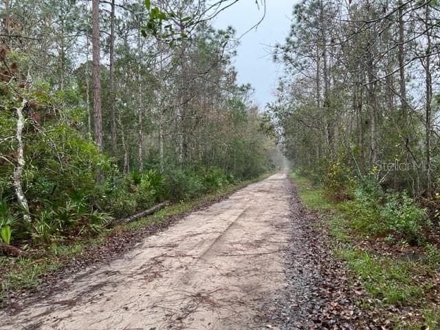 GUM ROAD NEW SMYRNA BEACH, FL 32168