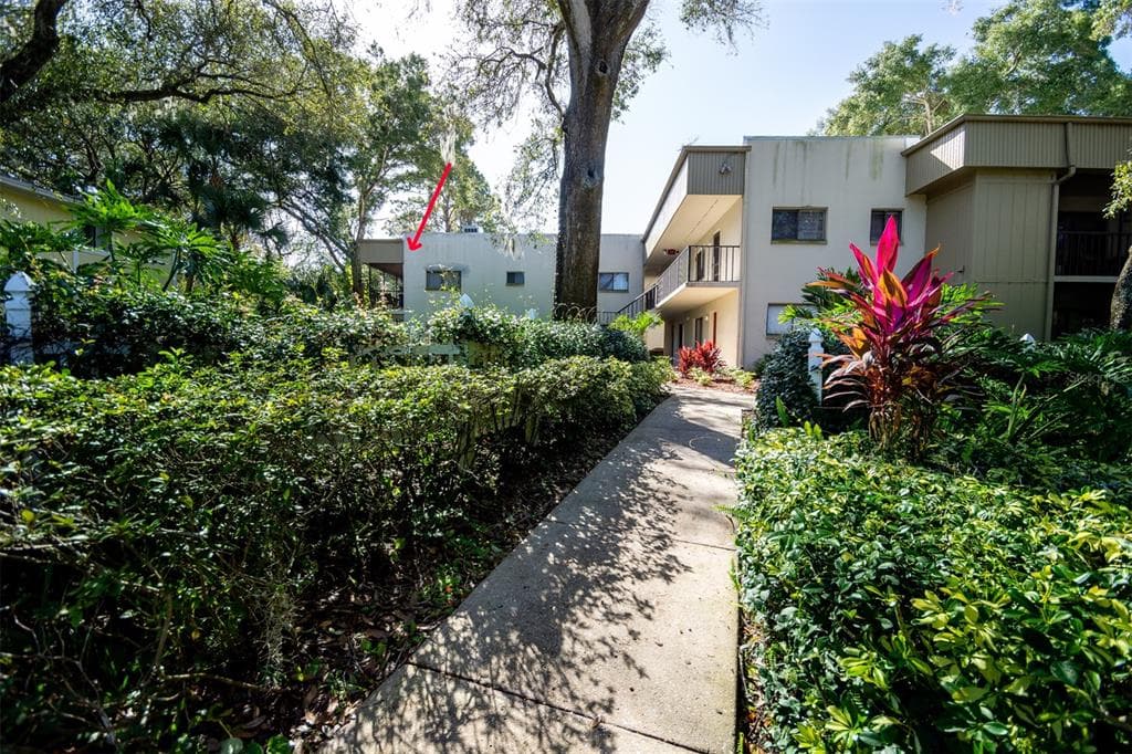 3300 FOX CHASE CIRCLE N UNIT 203 PALM HARBOR, FL 34683
