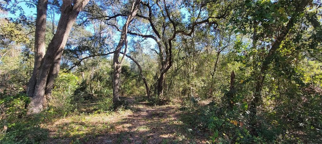 SYDNEY WASHER RD DOVER, FL 33527