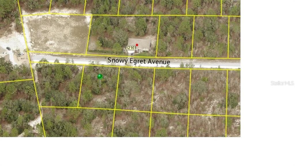 12152 SNOWY EGRET AVENUE WEEKI WACHEE, FL 34614