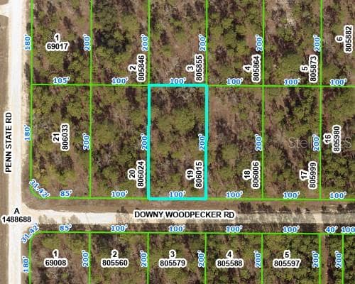 12493 DOWNY WOODPECKER ROAD WEEKI WACHEE, FL 34614