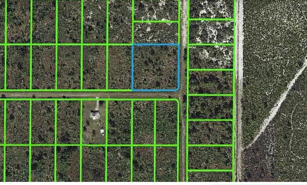 2060 S NITSCHKE ROAD AVON PARK, FL 33825